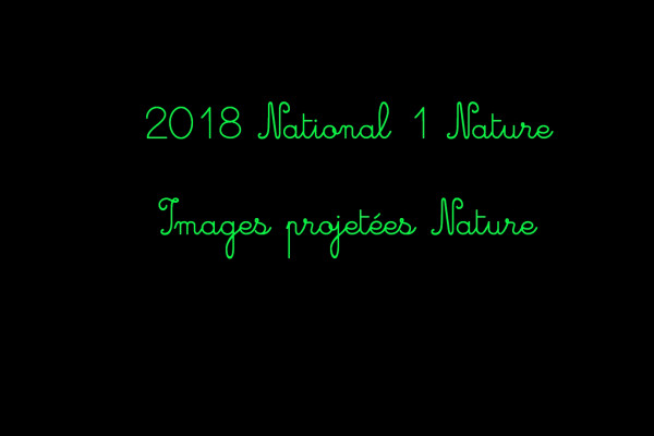2018 N1 IP Nature