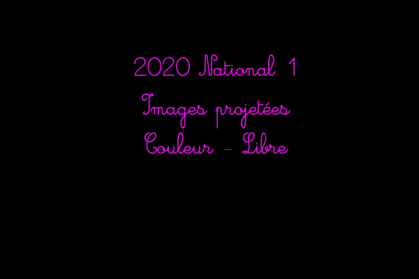 2020 N1 IP Couleur libre
