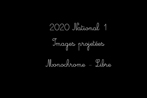 2020 N1 IP Monochrome libre