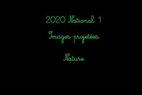 2020 N1 IP Nature