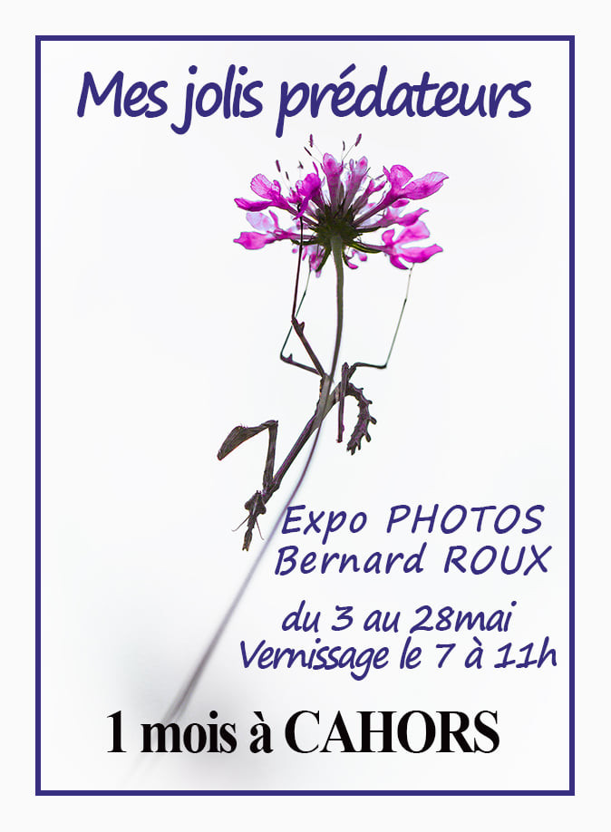 Expo photos -Bernard ROUX