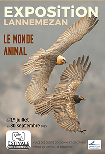 Estivales du Photoclub Lannemezanais - Juillet à Septembre 2025