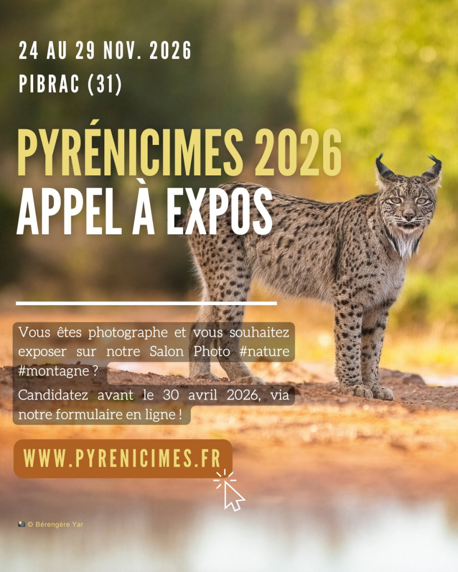 Evénement - Appel à Expos pour le Pyrénicimes 2026